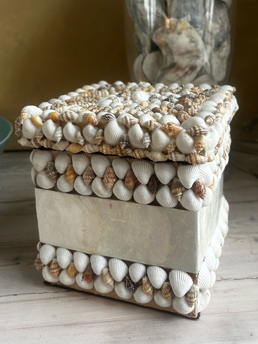 Shell keepsake decorative box with mother of pearl side panels.